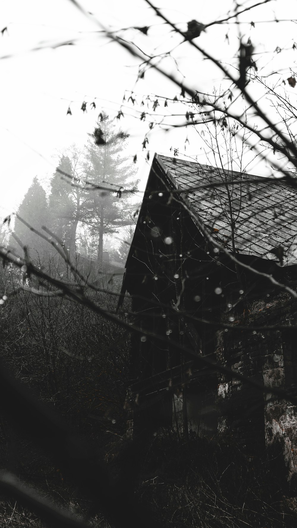 black wooden house on snow covered ground