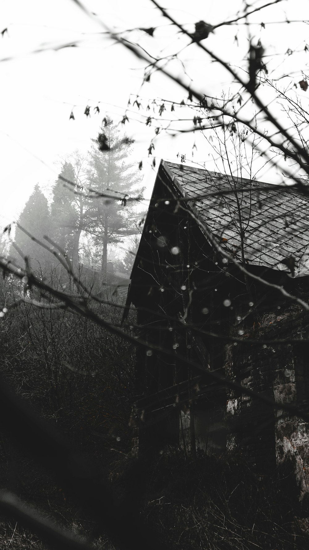 maison en bois noir sur un sol enneigé