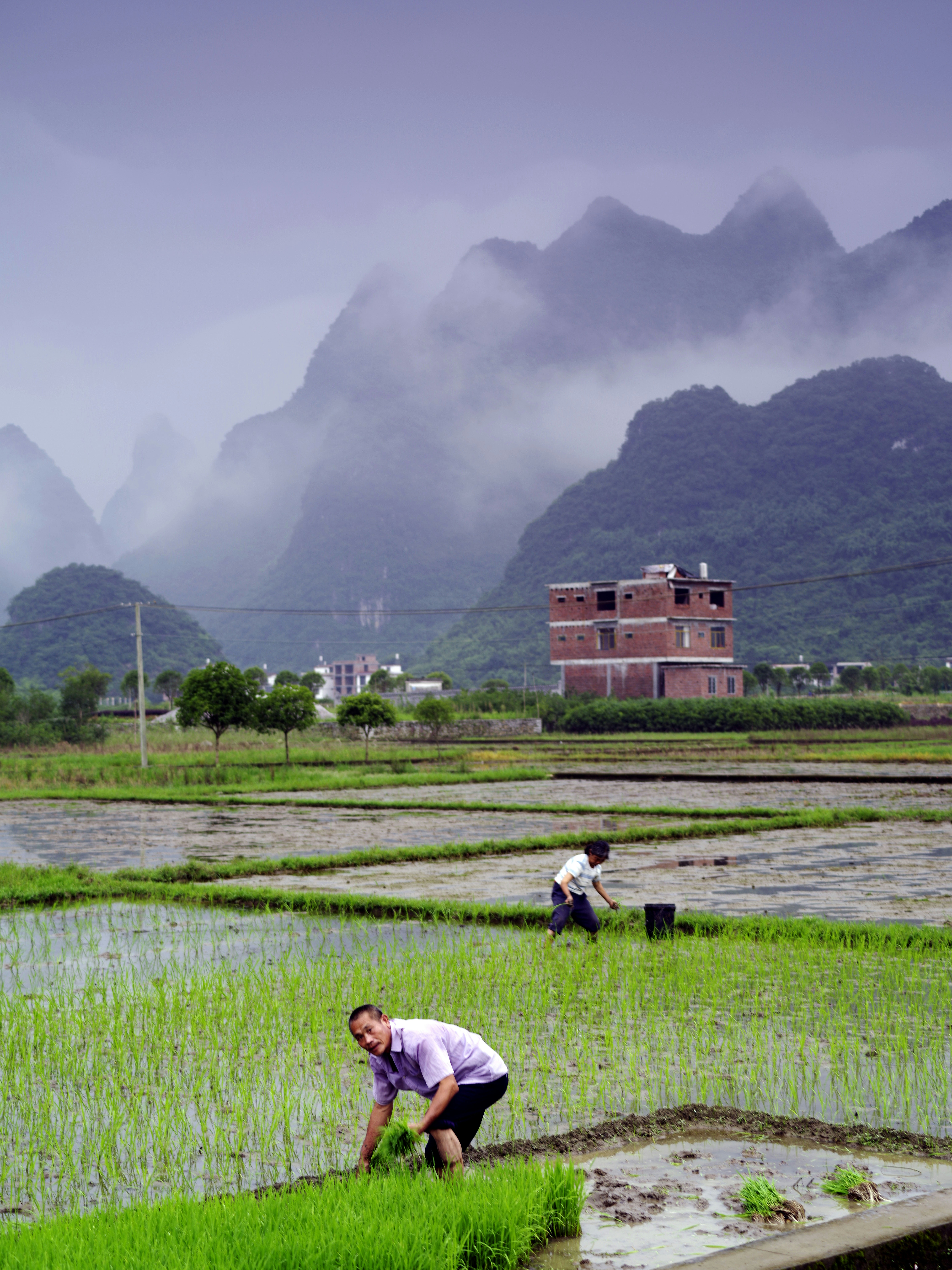 Photo by liuguangxi