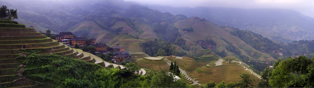 aerial view of green trees and brown mountains during daytime