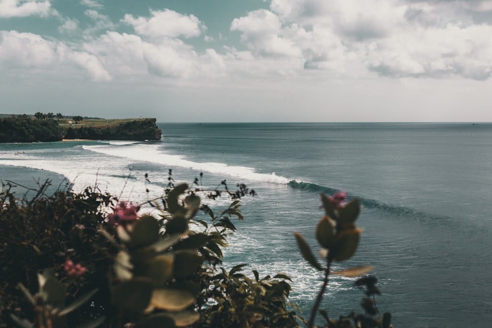 people on beach during daytime