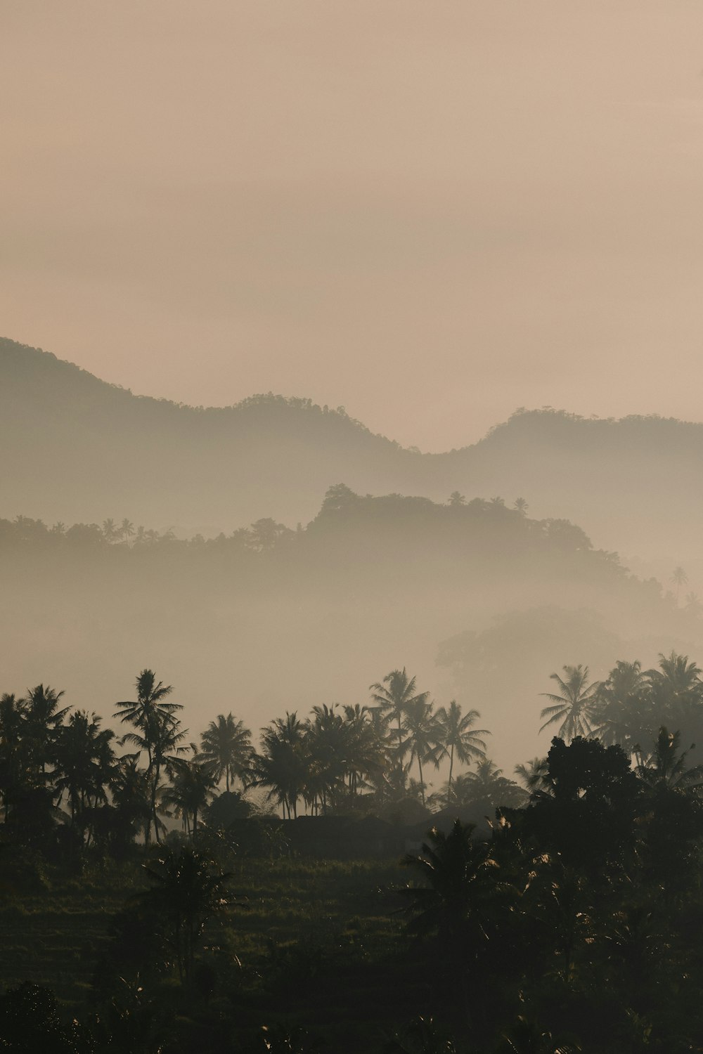 green trees and mountains during daytime