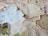 Aerial view of natural salt formations with intricate patterns, featuring a mix of textures and colors including pale blue and beige. The formations are irregular in shape and spread across the surface, resembling terraced structures with mineral deposits along the edges.