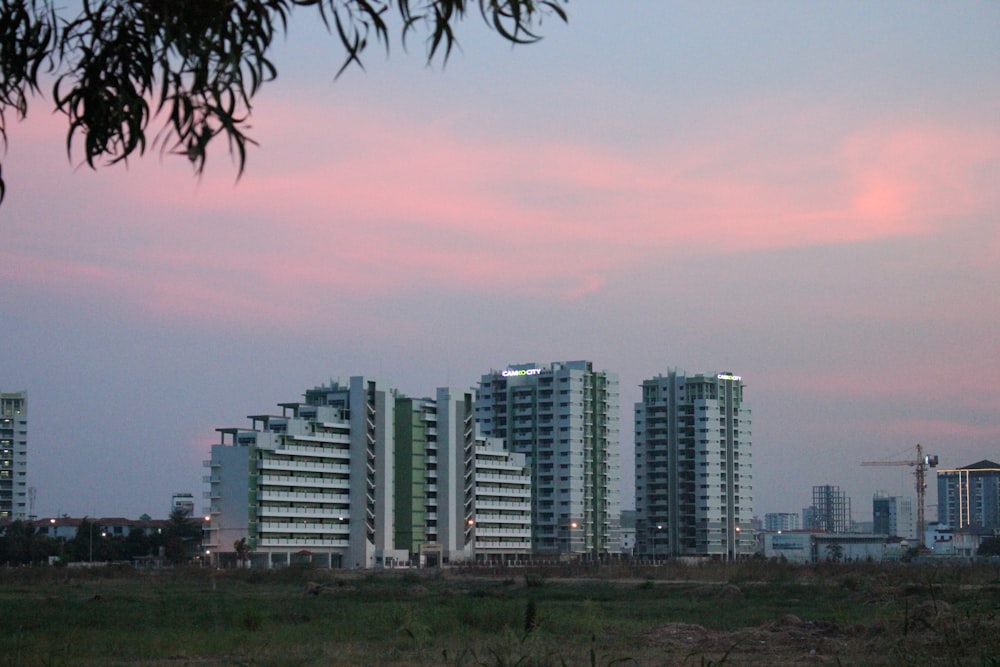 city skyline under blue sky during daytime