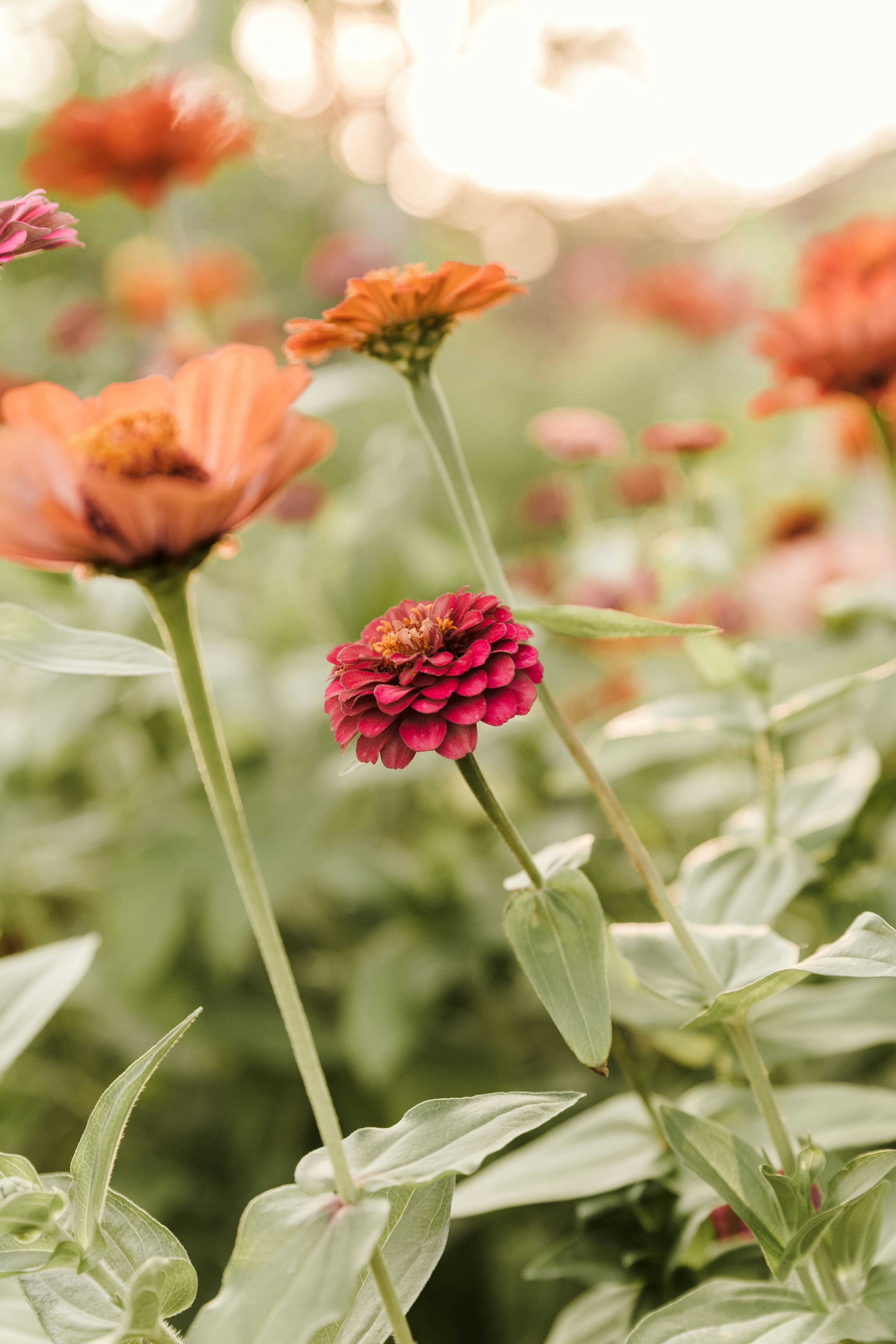 Photo by benignohoyuela