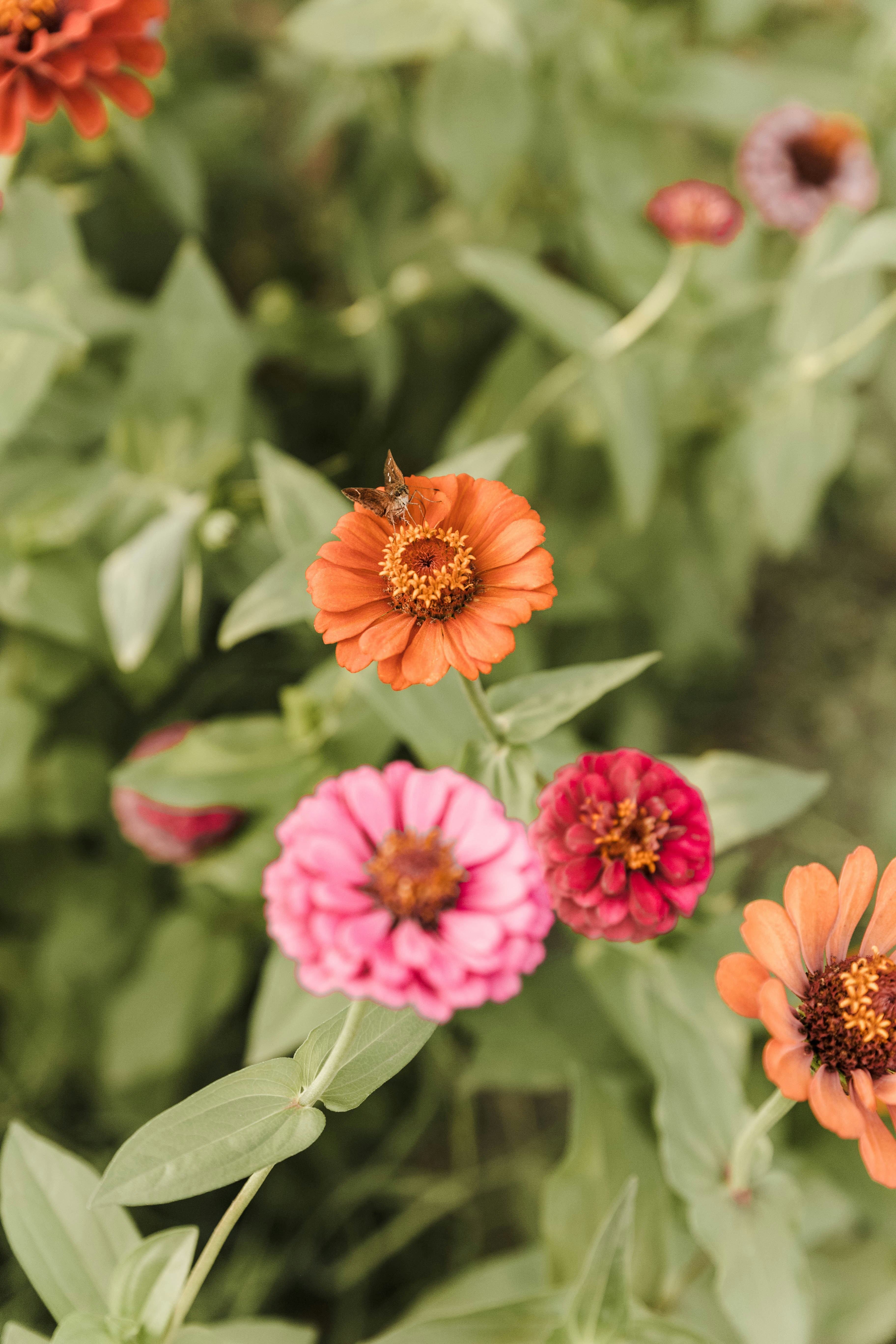 Photo by benignohoyuela