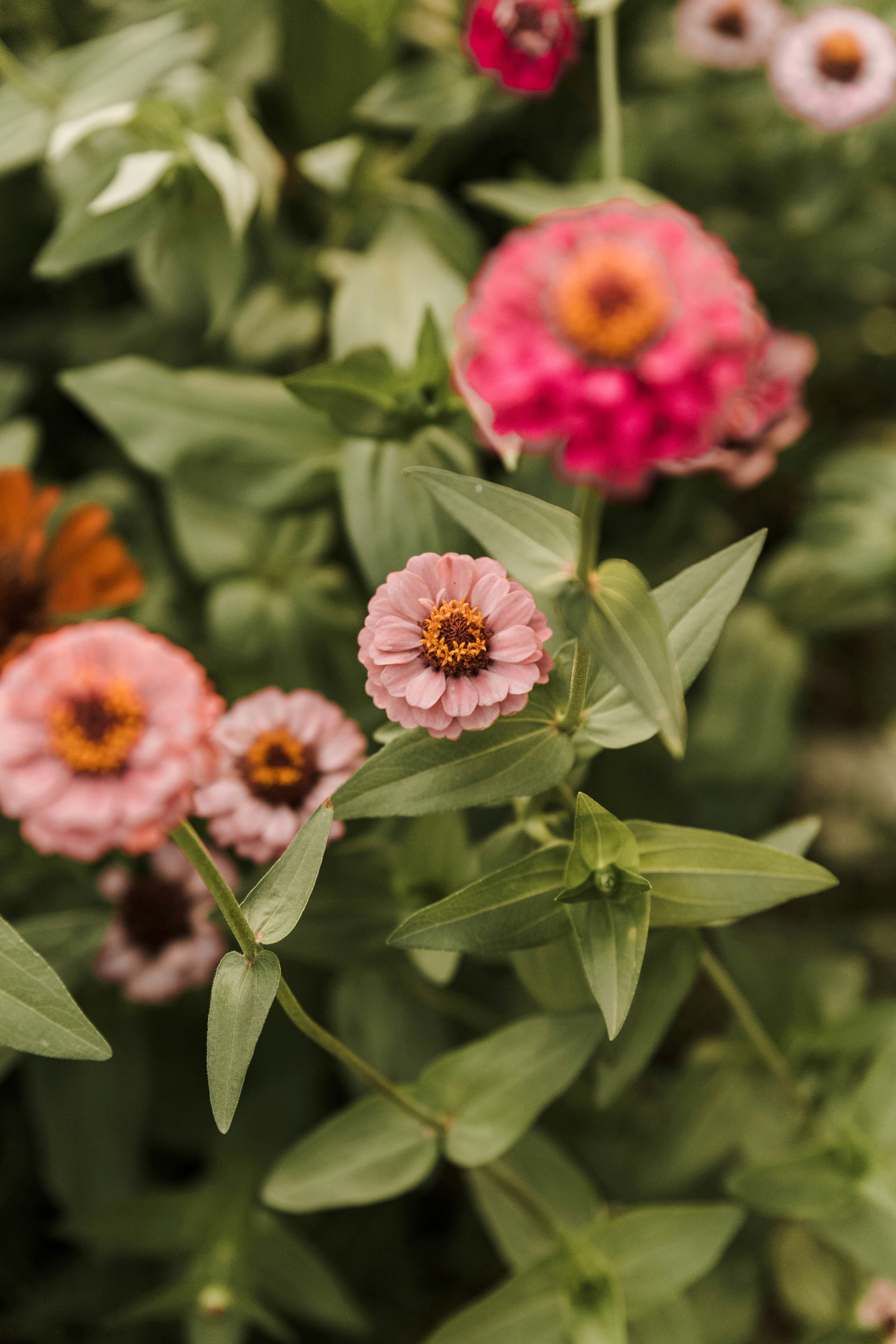 Photo by benignohoyuela