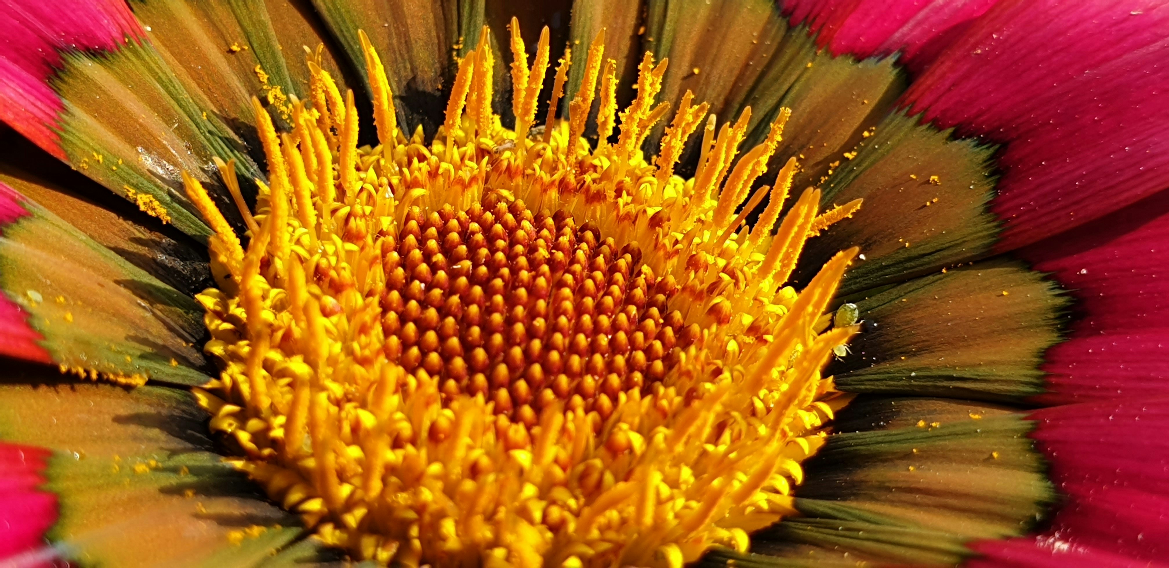 Photo by anirudhgaur