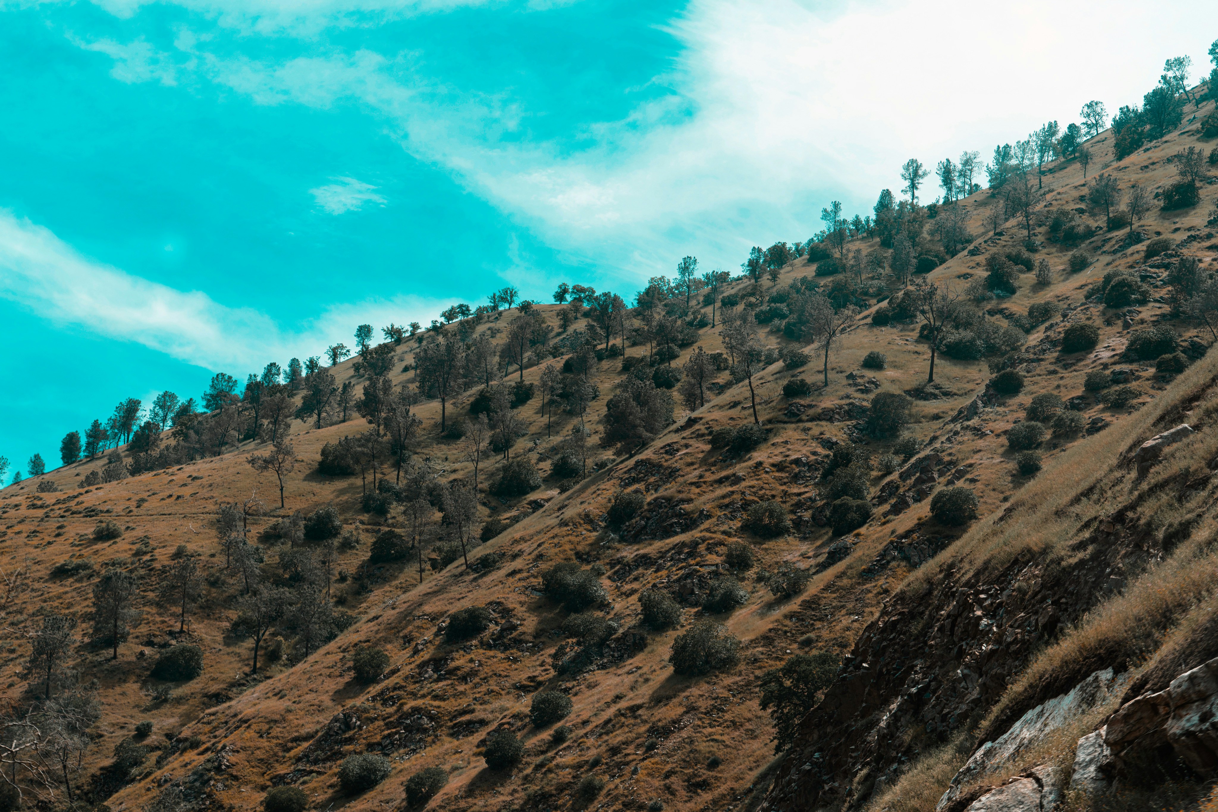 Photo by tatev_ghulyan