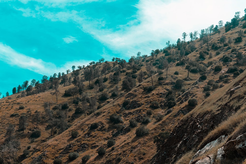 brown and green mountains under blue sky and white clouds during daytime