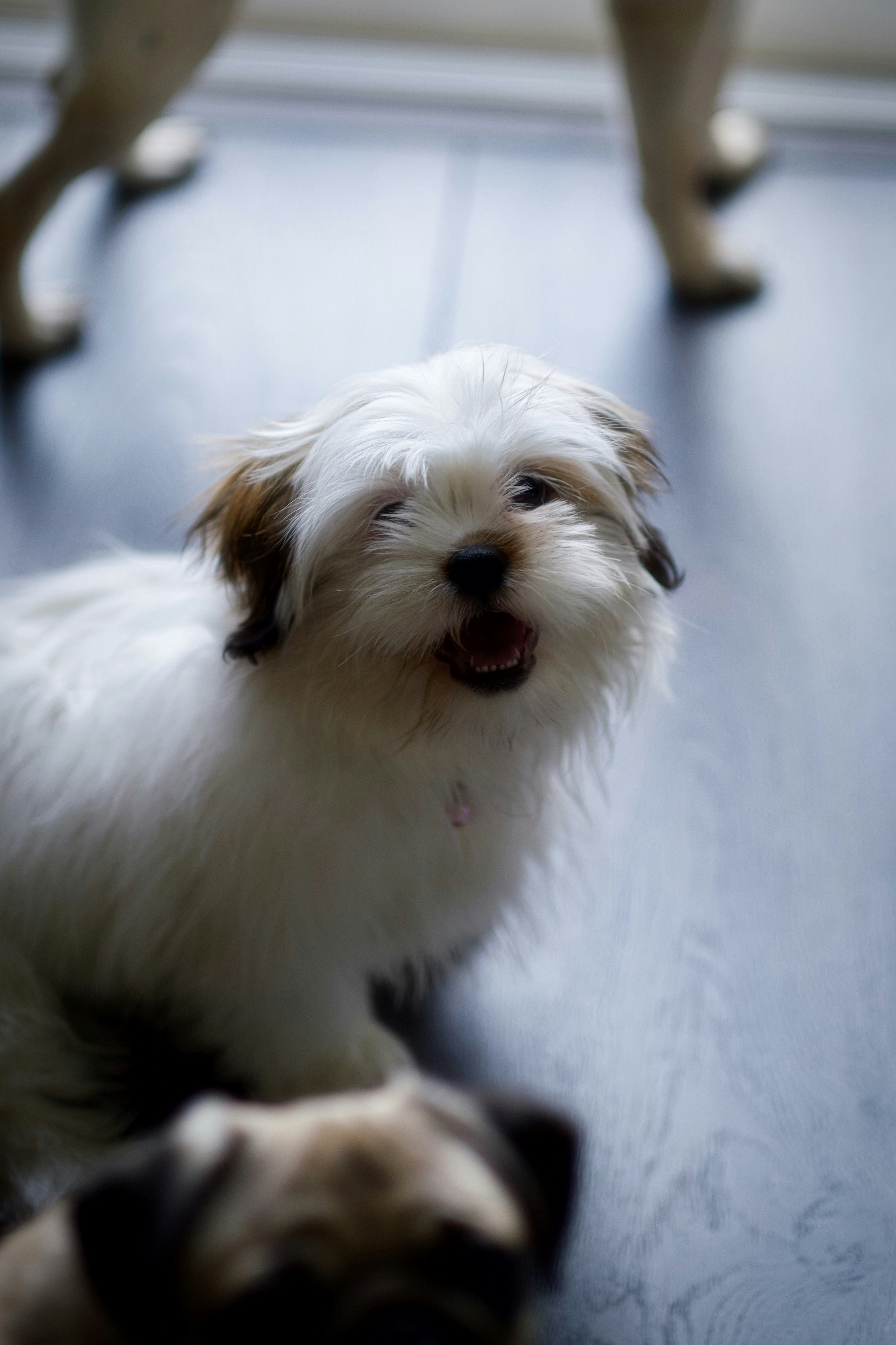 Photo by potofgold07