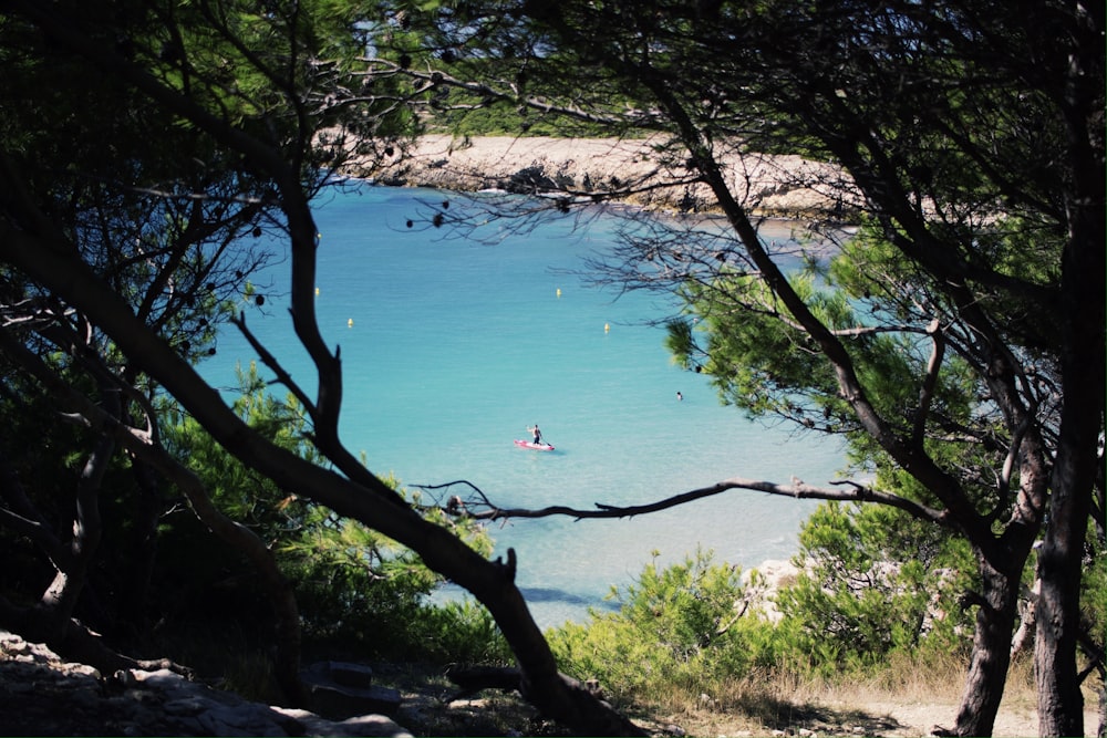 person in red shirt standing on rock near body of water during daytime