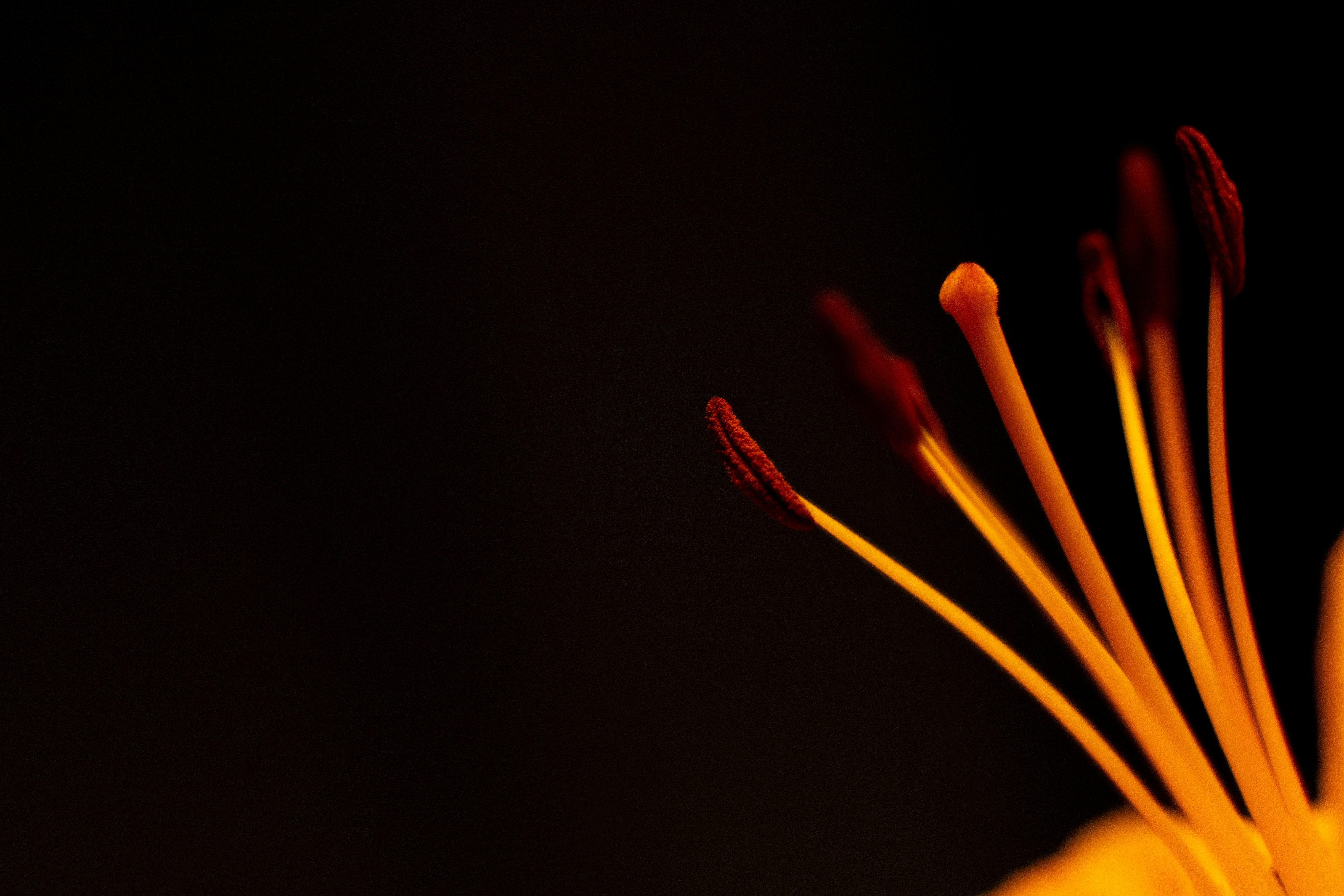 Photo by michaelfousert