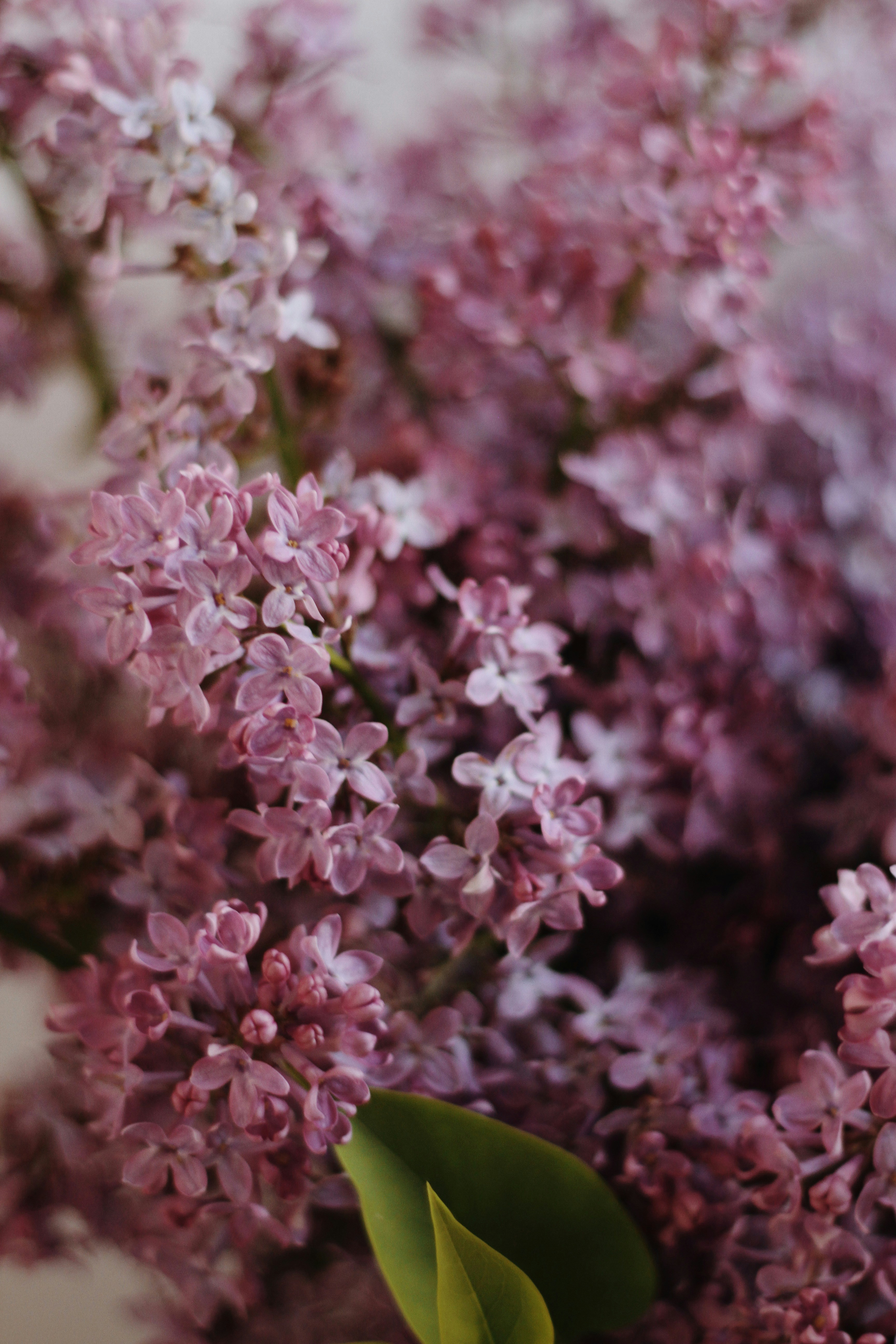 Photo by tanyatrukyr