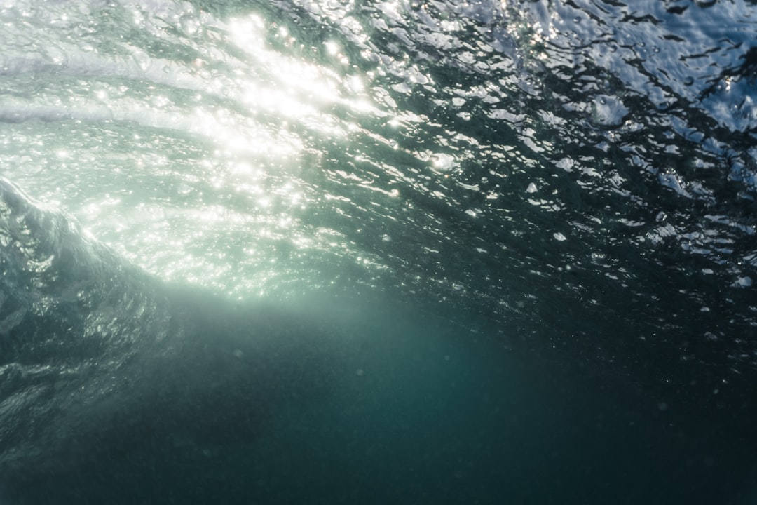 Underwater photo spot Te Arai Warkworth