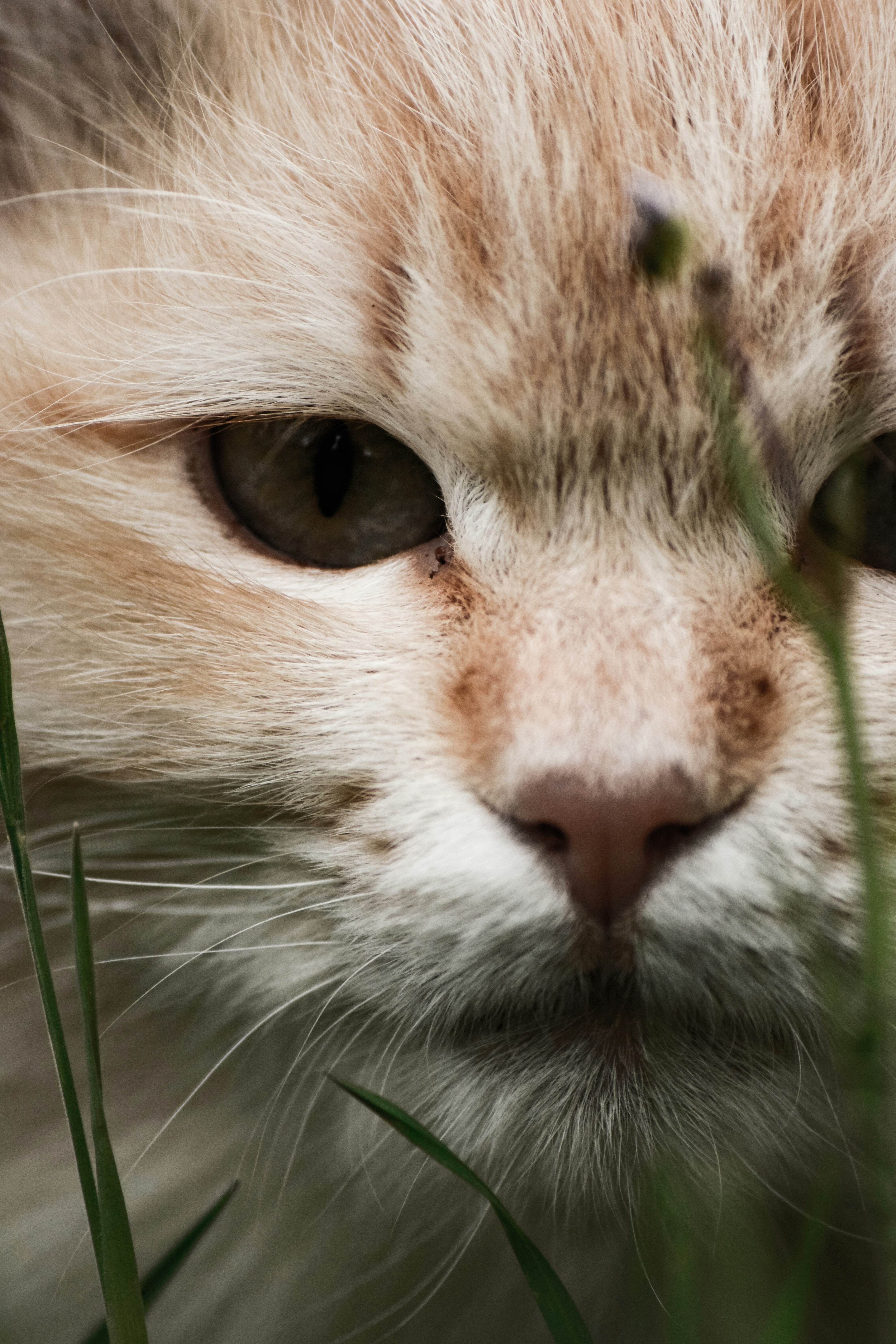 Photo by bogdan_cotos