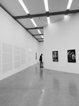 A person stands in a modern art gallery, observing two pieces of art hung on a clean, white wall. The gallery features a high ceiling with sleek, linear lighting that casts reflections on the polished floor. The walls are adorned with large blocks of text, suggesting informational displays or explanations of the art pieces.