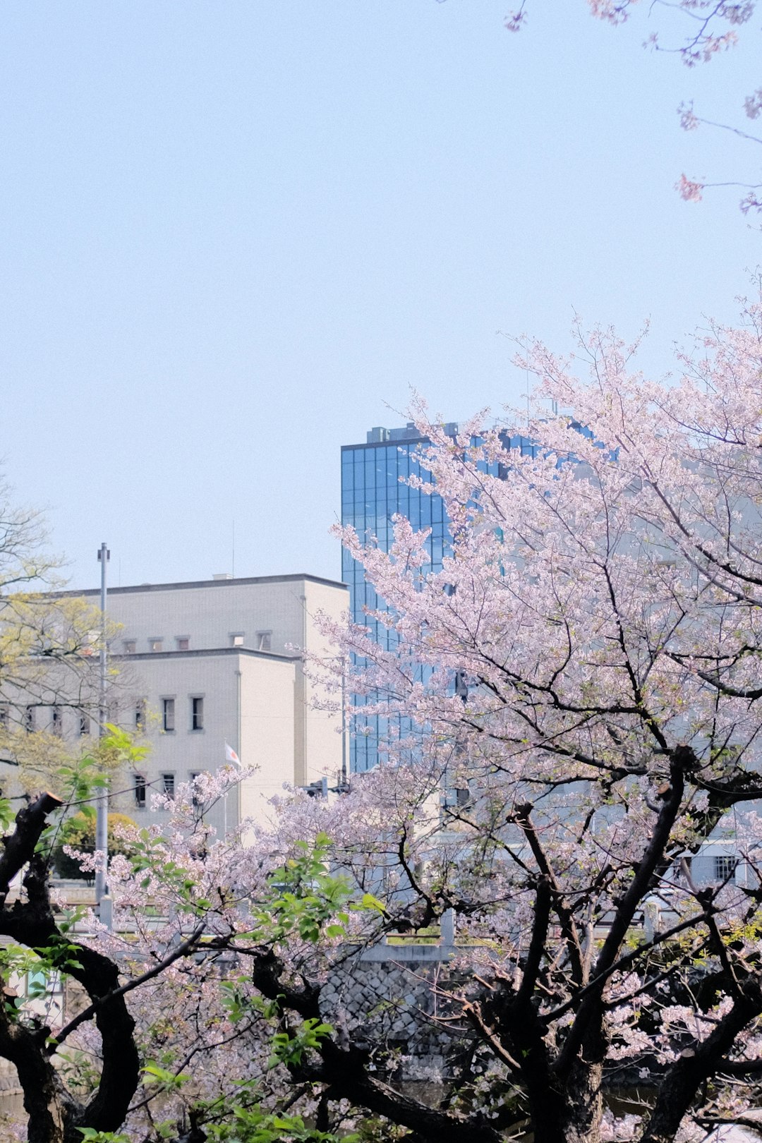 white concrete building near green trees during daytime