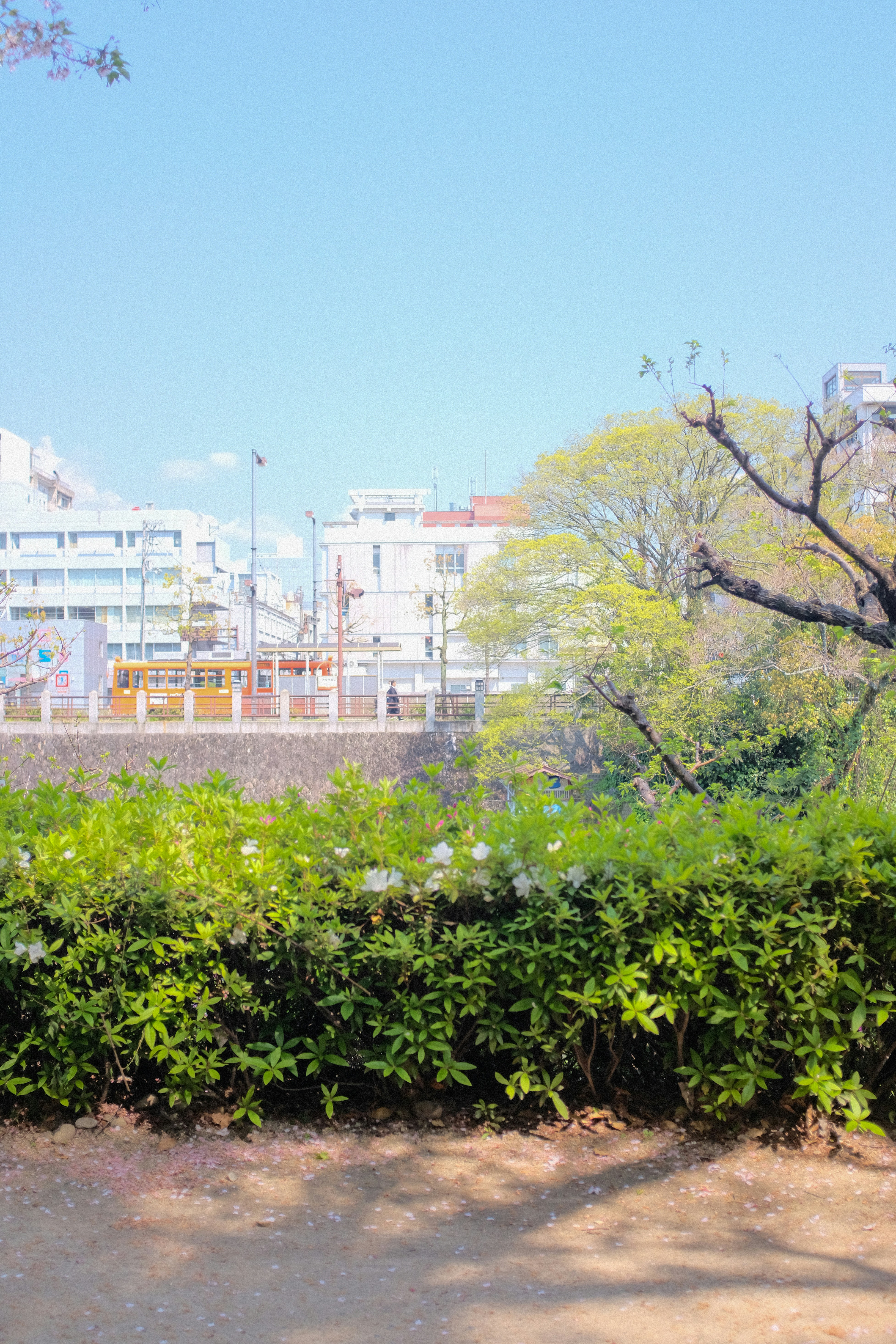 green trees near white concrete building during daytime