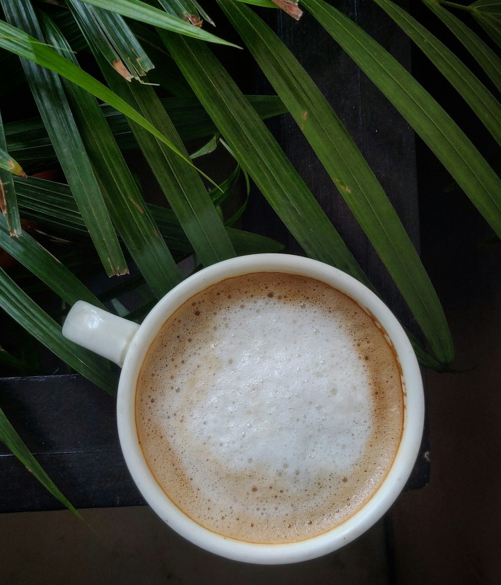 white ceramic mug on green leaves