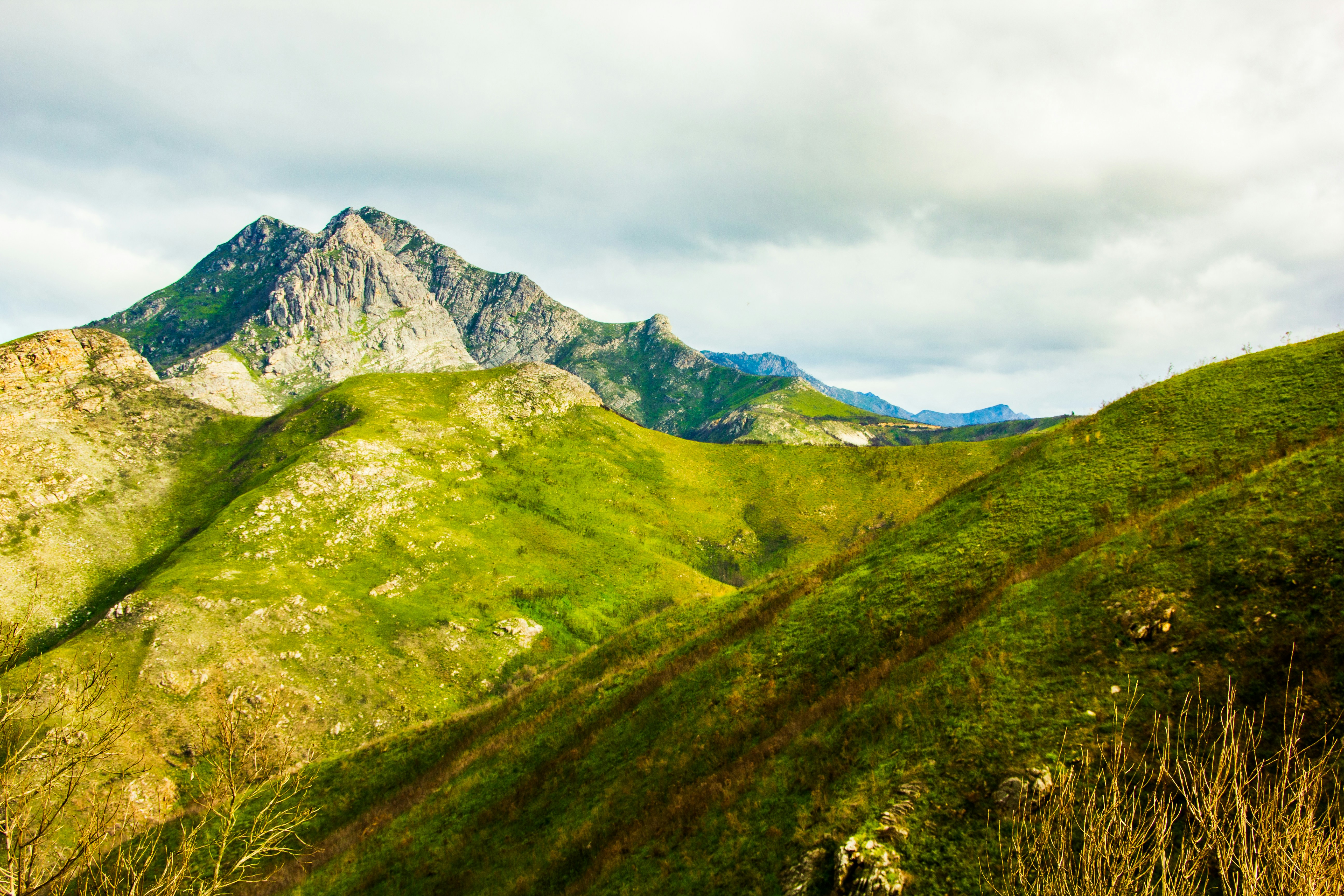 Photo by juanita770427