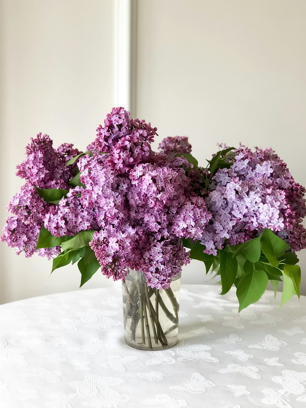 purple flowers in clear glass vase