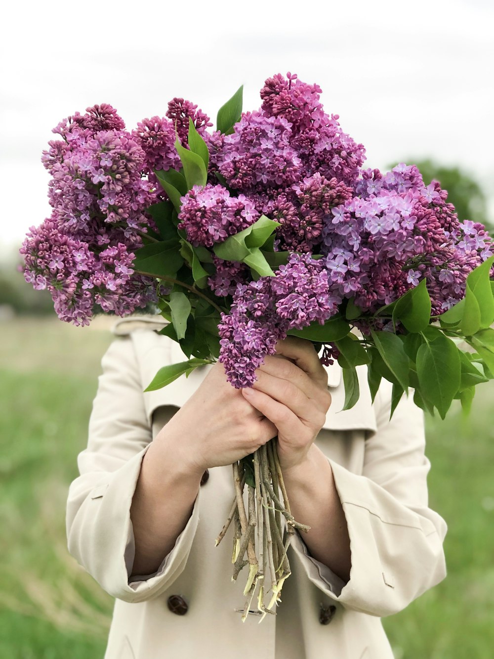 person holding purple flower bouquet
