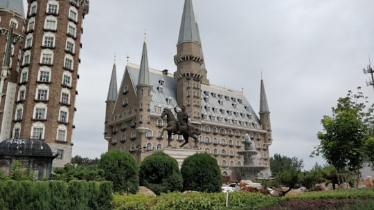 brown and gray concrete castle in Xinle China