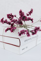 pink flowers on white wooden fence