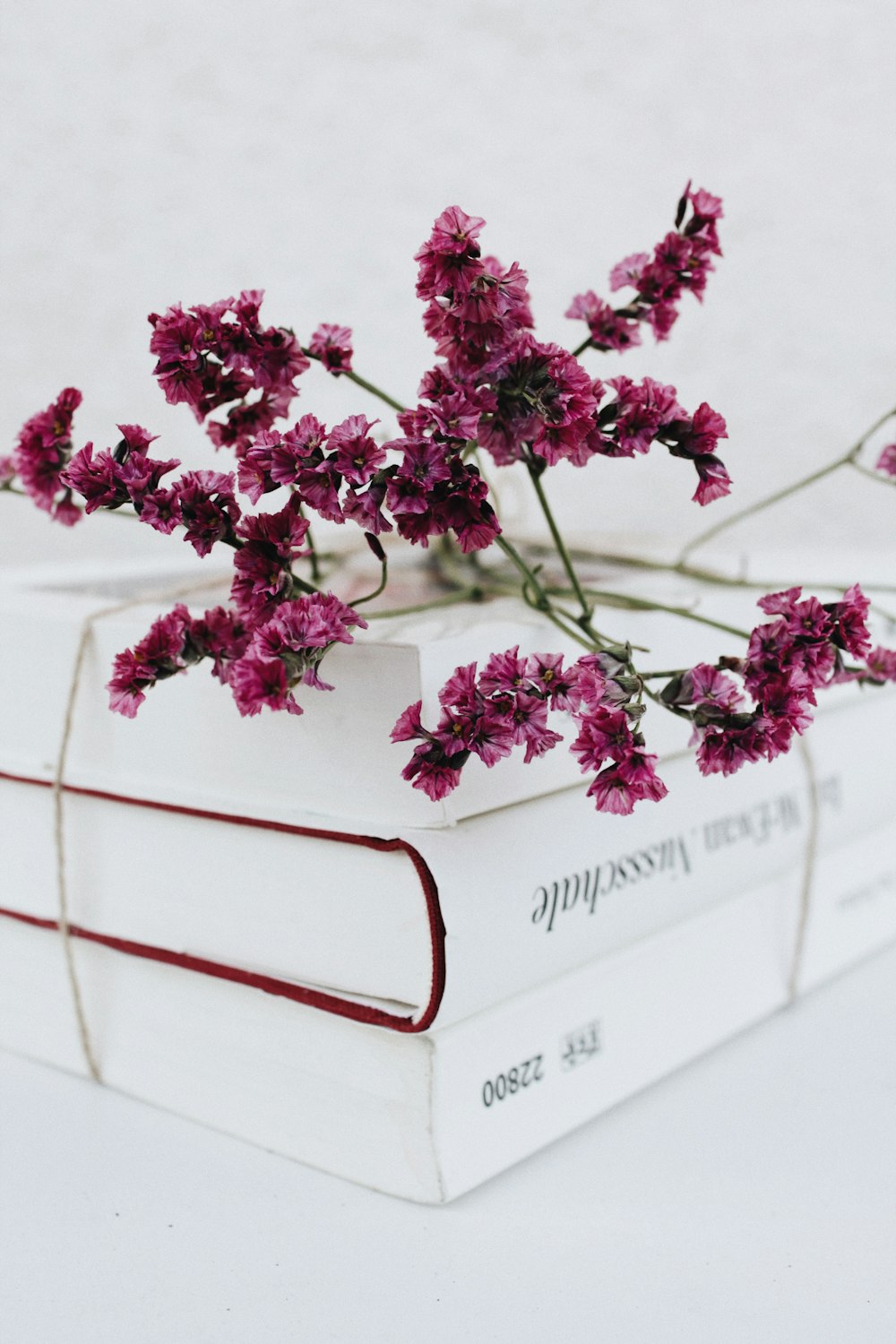 pink flowers on white wooden fence