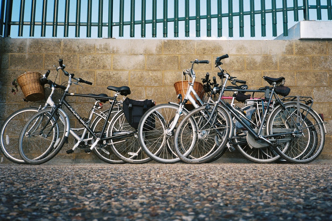 black and brown city bikes parked beside blue metal fence during daytime