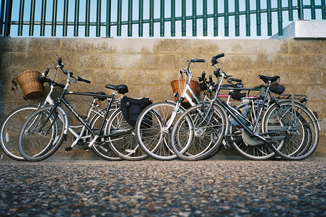 Copenhagen Like a Local: The Insider's Guide to Experiencing Denmar… — Copenhagen Like a Local