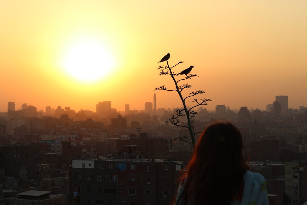 woman in black long sleeve shirt standing on top of building during sunset