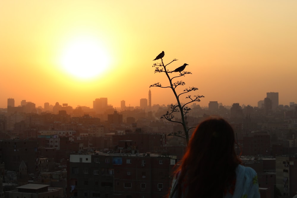 mulher na camisa preta de manga comprida em pé no topo do edifício durante o pôr do sol