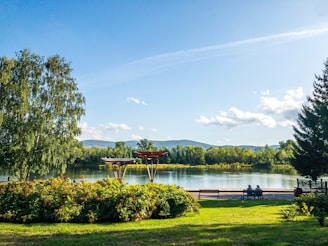 brown wooden bench on green grass field near lake under blue sky during daytime