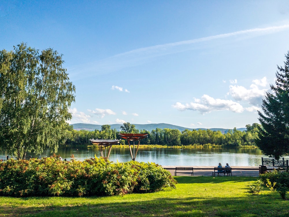 brown wooden bench on green grass field near lake under blue sky during daytime