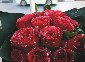 A vibrant large bouquet of red roses being handed over on a sunny street