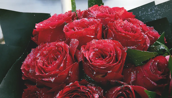 A vibrant large bouquet of red roses being handed over on a sunny street