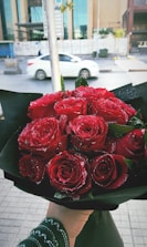 A bouquet of vibrant red roses with dew drops on the petals, held in hand, with a black wrapping. In the background, a white car is driving past a modern glass building in an urban setting.