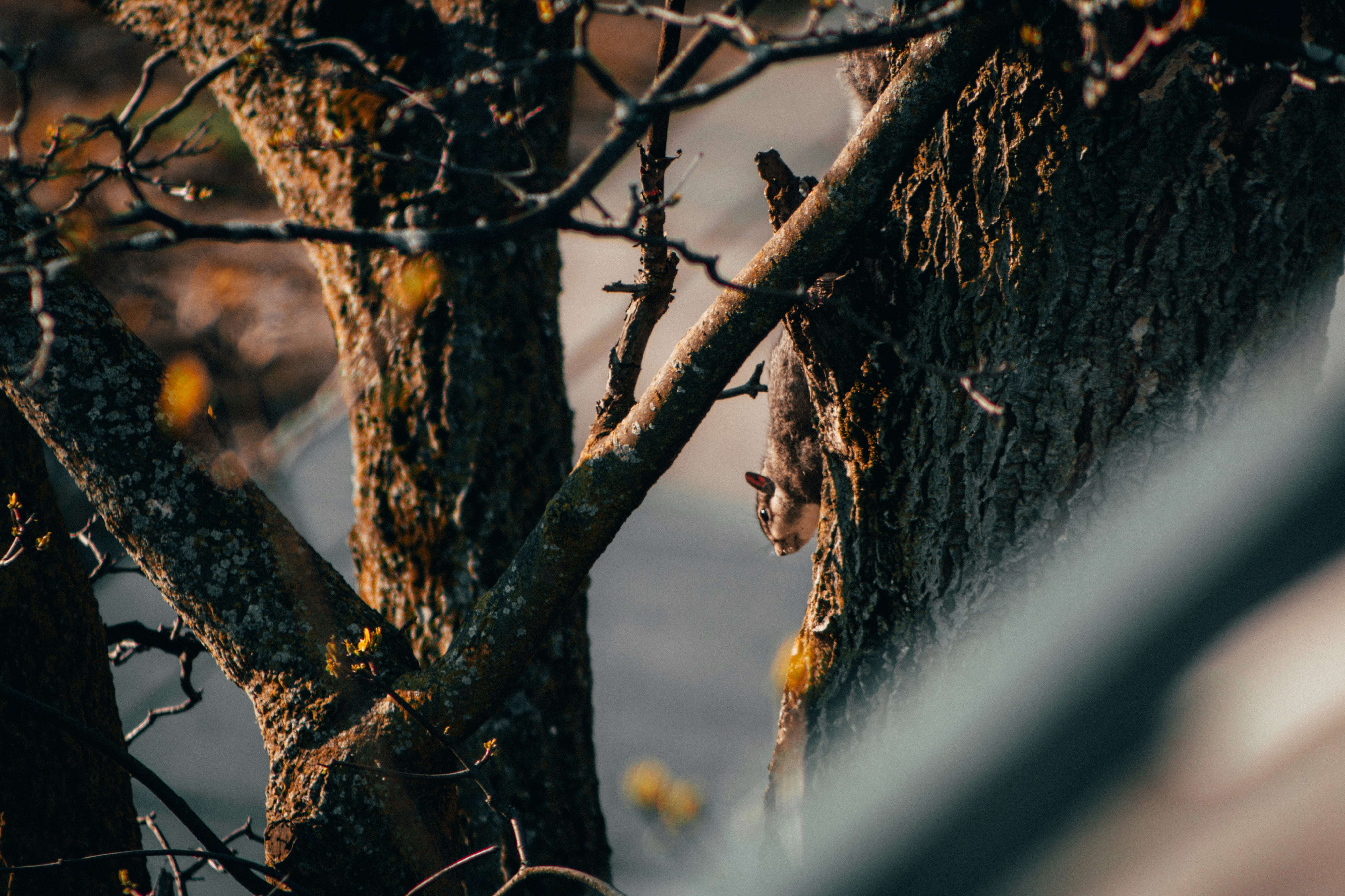 Photo by yassine_khalfalli