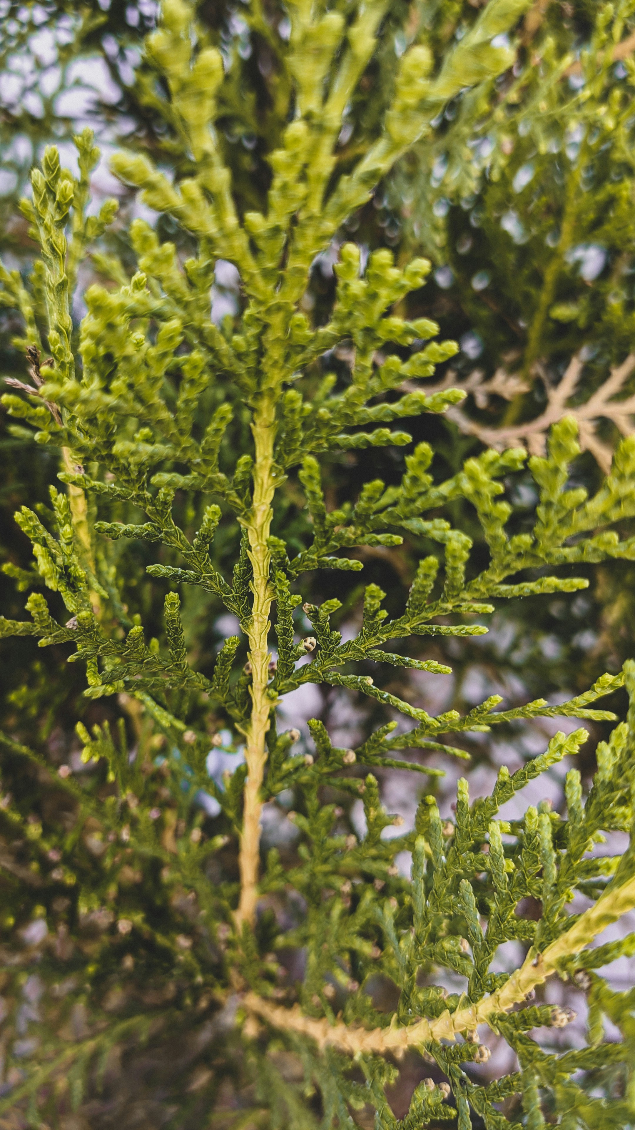 Photo by aryansingh0634