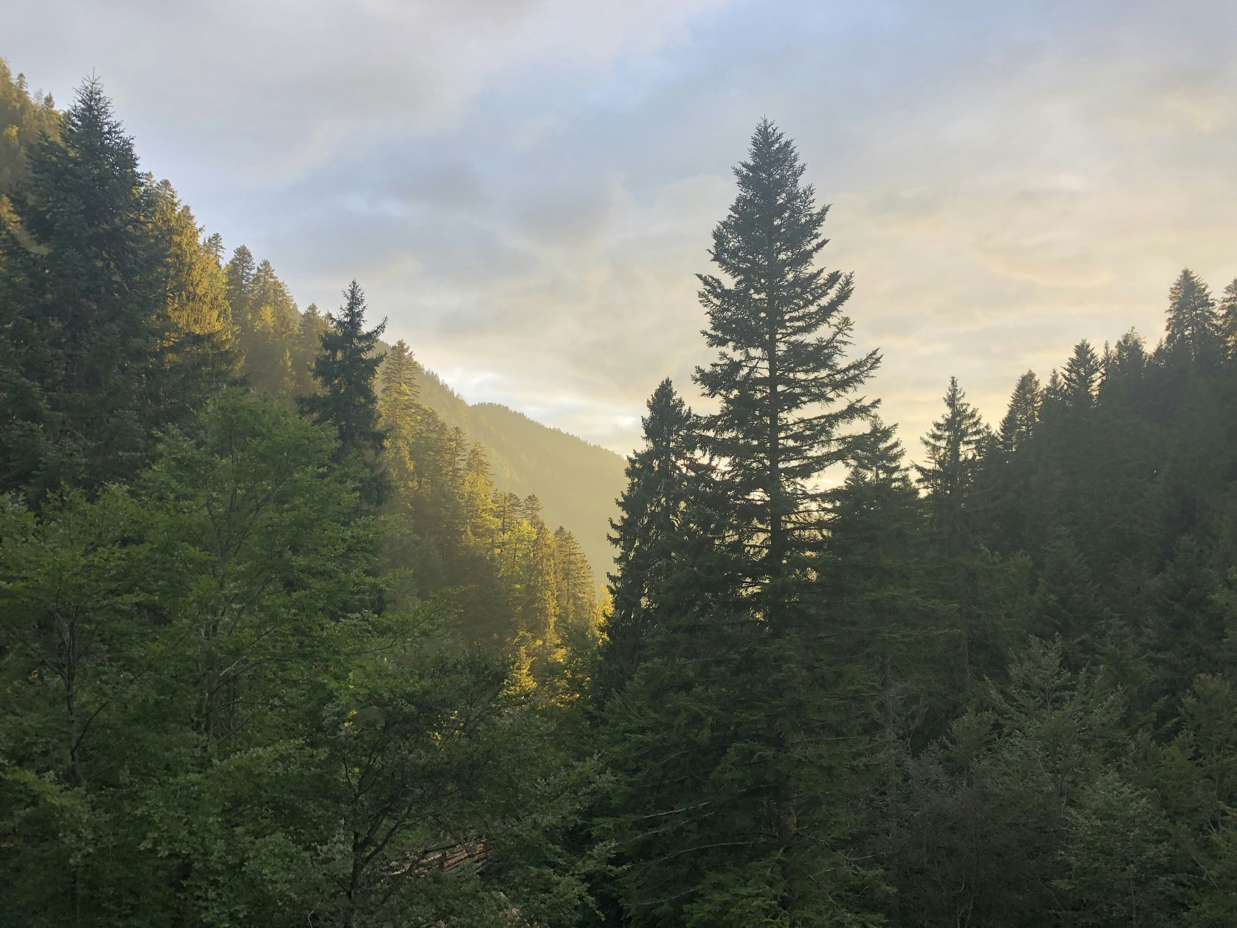 Photo by louisderrac