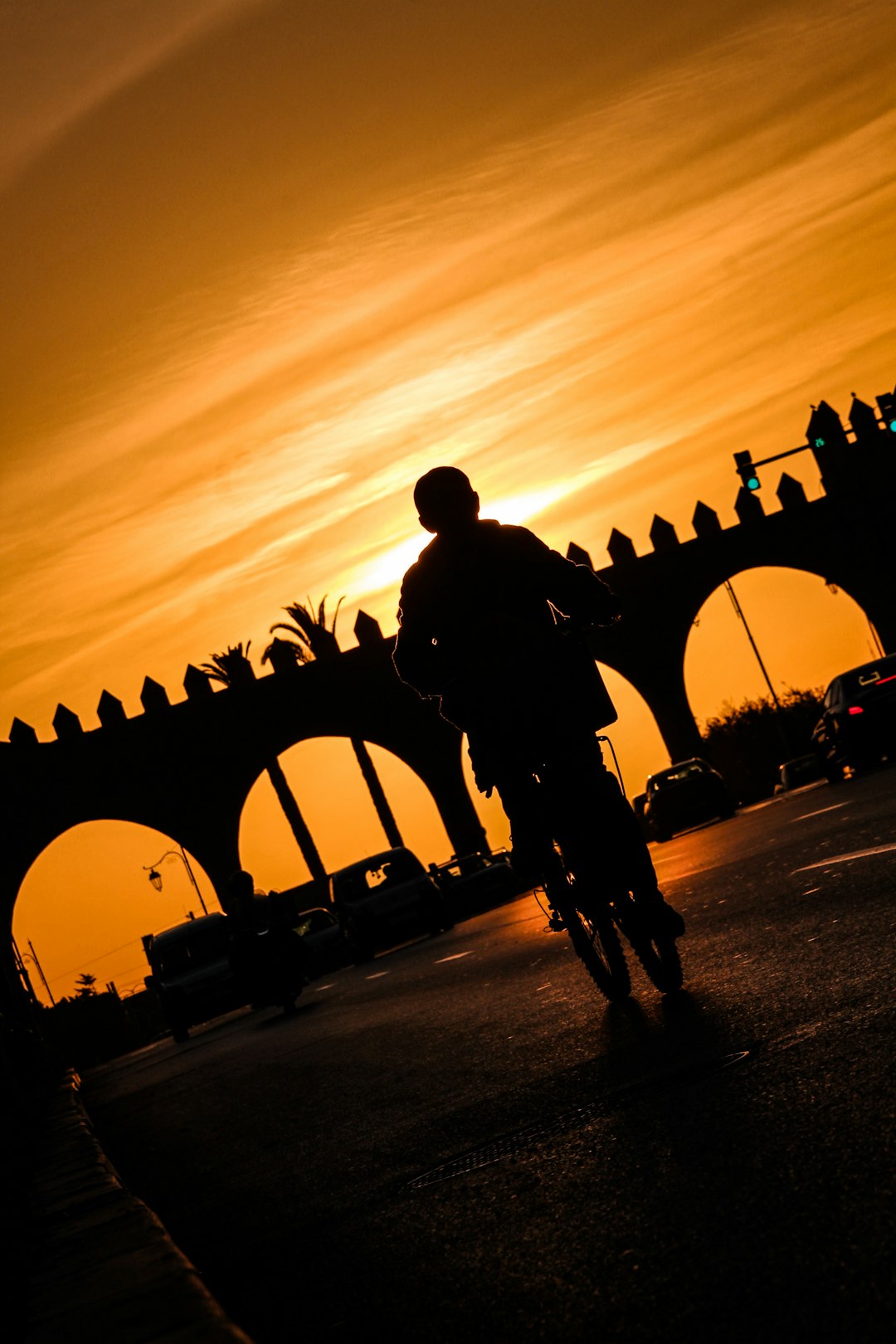 silhouette of man riding bicycle on road during sunset