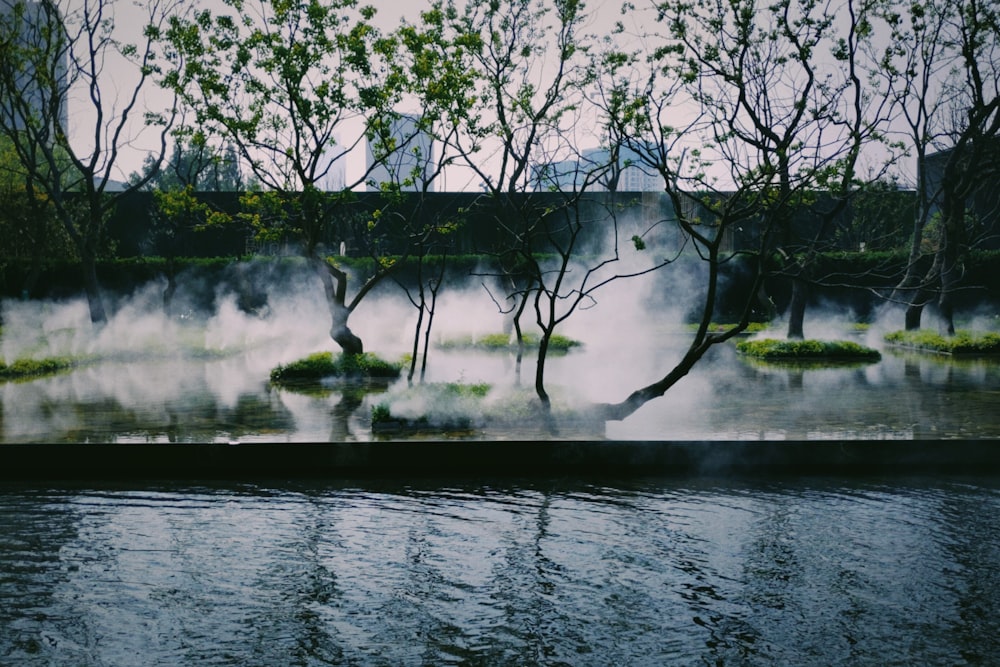 body of water near trees during daytime