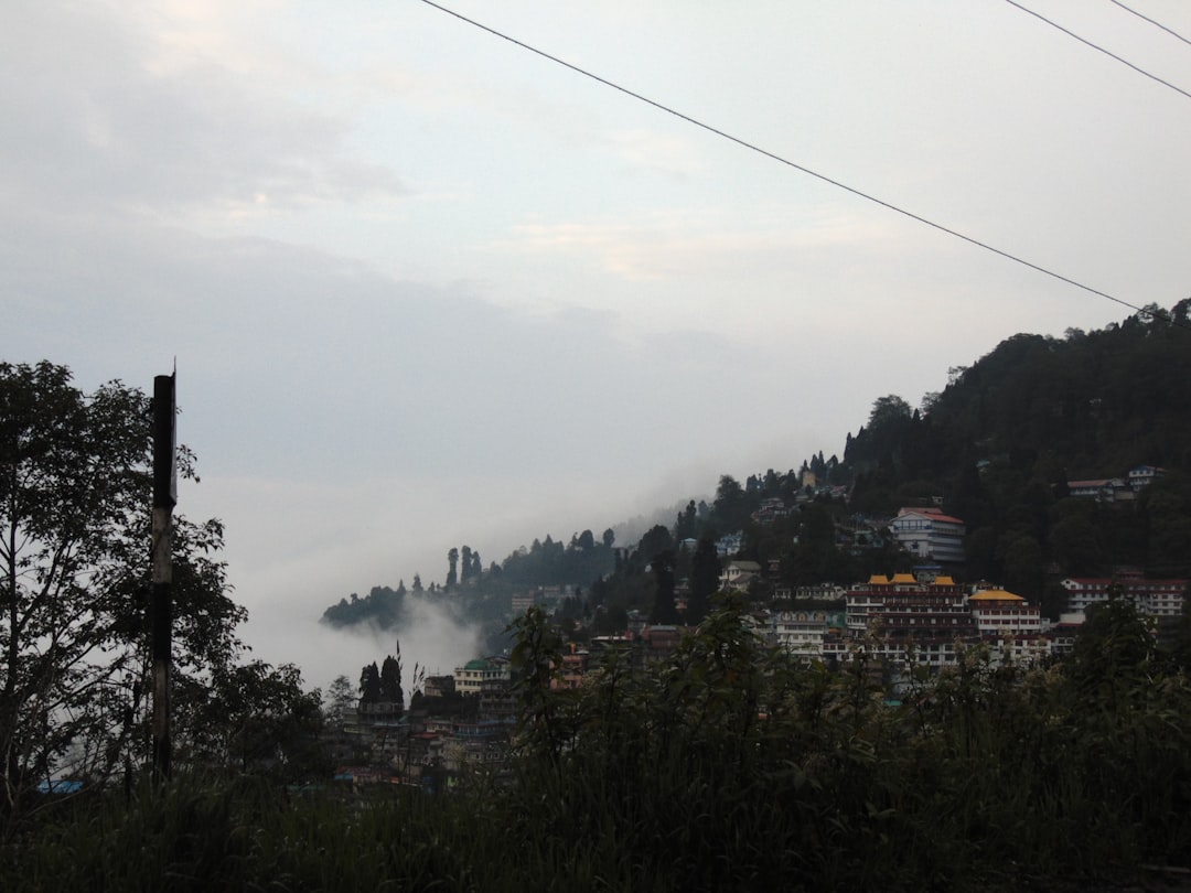 Town photo spot Shimla Karsog