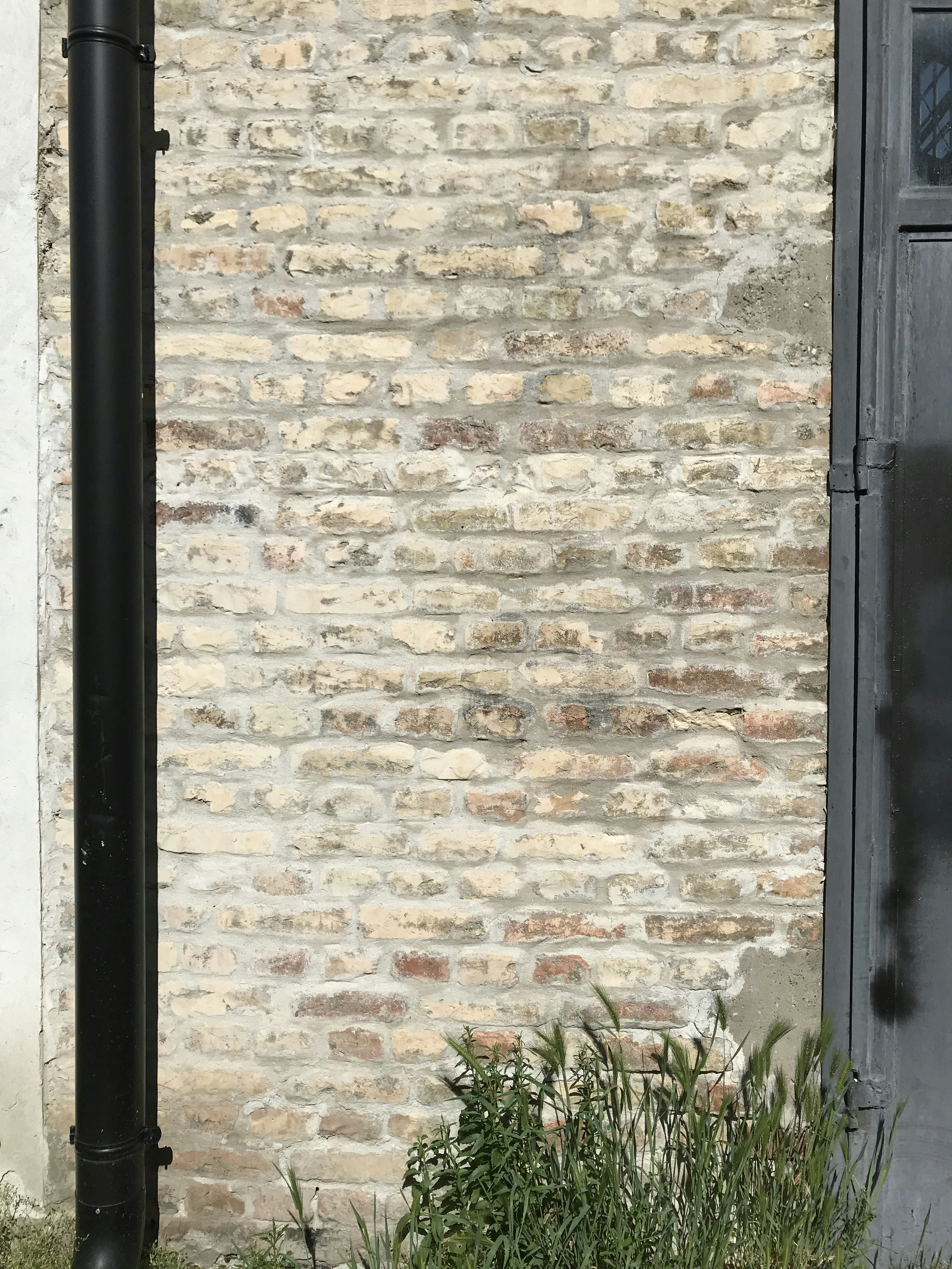 Photo by danijela777