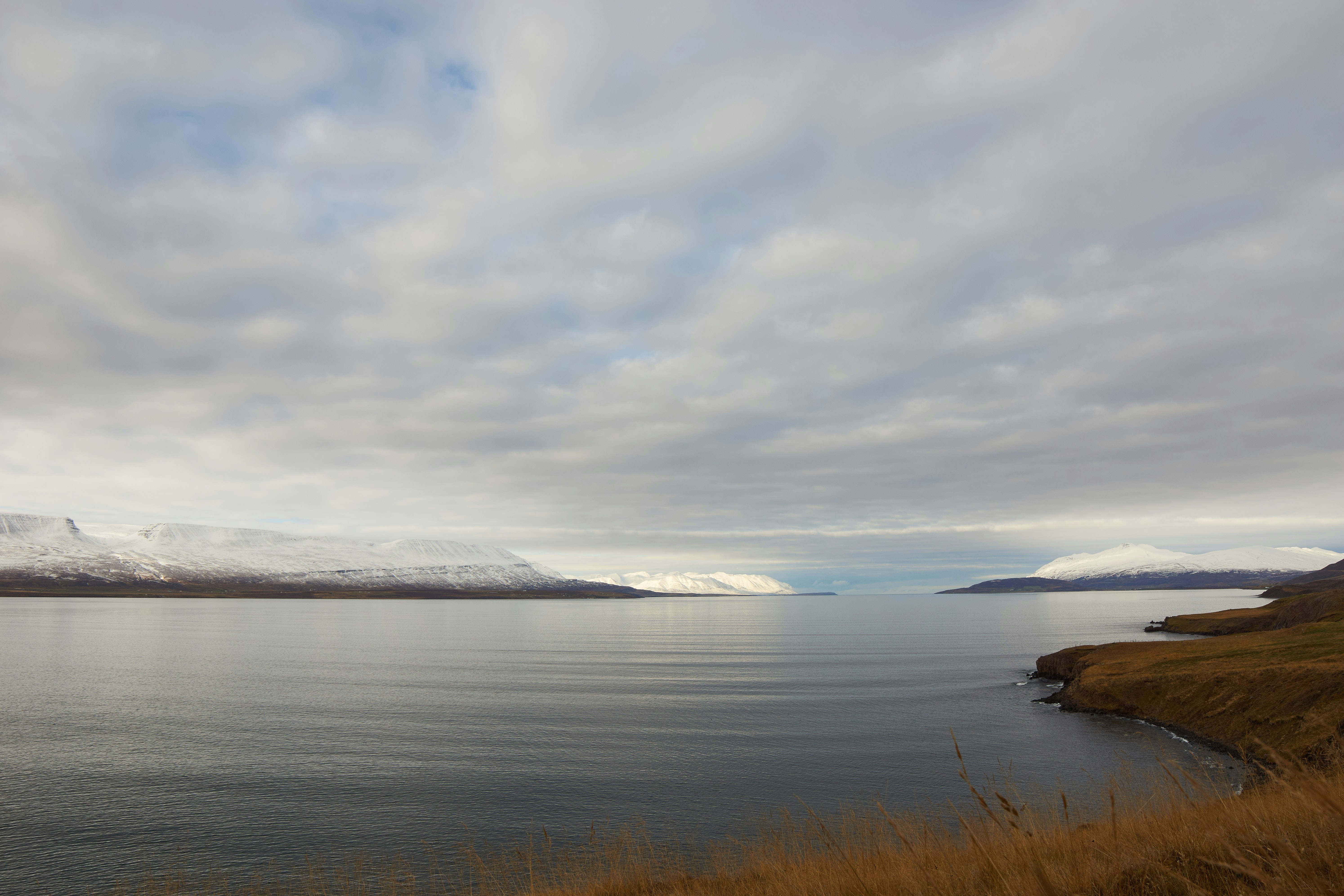 Photo by wolfgang_hasselmann