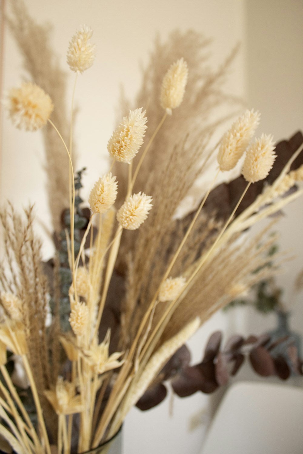 white flowers in tilt shift lens