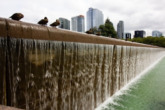 water fountain near high rise buildings during daytime