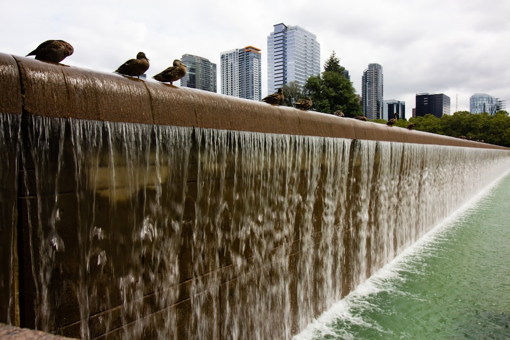 Fuente de agua cerca de edificios de gran altura durante el día